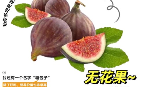 灵芝石斛水隔夜能喝吗-石斛灵芝鸡煲汤有什么功效-专业石斛灵芝的功效与作用平台-灵芝石斛水隔夜能喝吗
